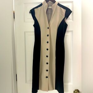 Calvin Klein button up dress